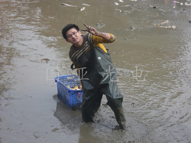 熱熱鬧鬧來捕魚